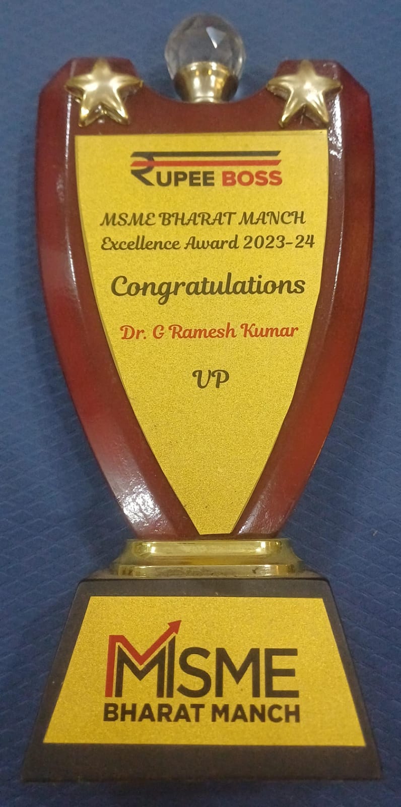 MSME Bharat Manch Excllence Award